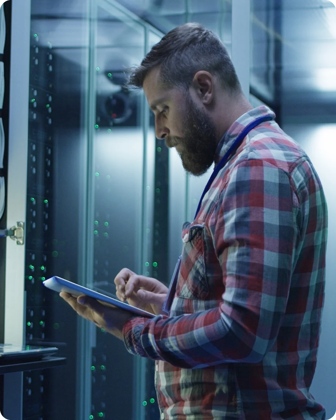 Always Evolving Visual